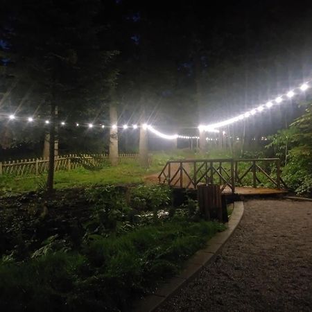 Villa Park - Beniart Studio - Nr 109 - Near Gondola Lift بوروفتس المظهر الخارجي الصورة